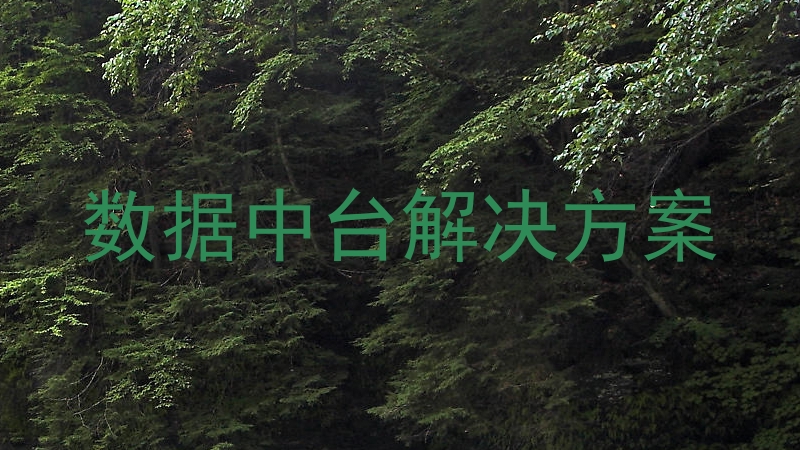 数据中台解决方案