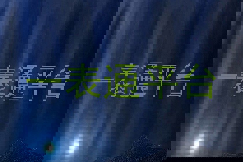 一表通平台