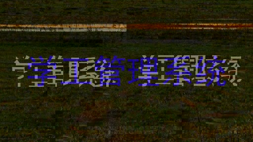 学生工作管理信息系统