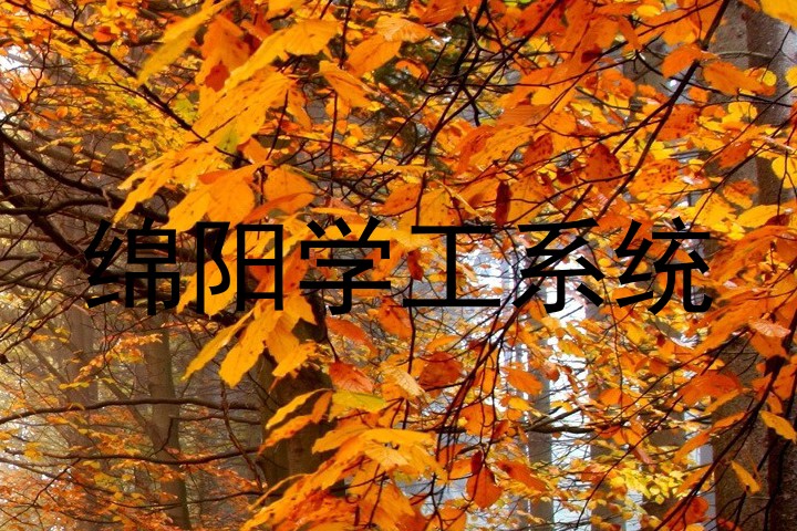 绵阳学工系统