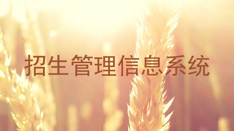 招生管理信息系统