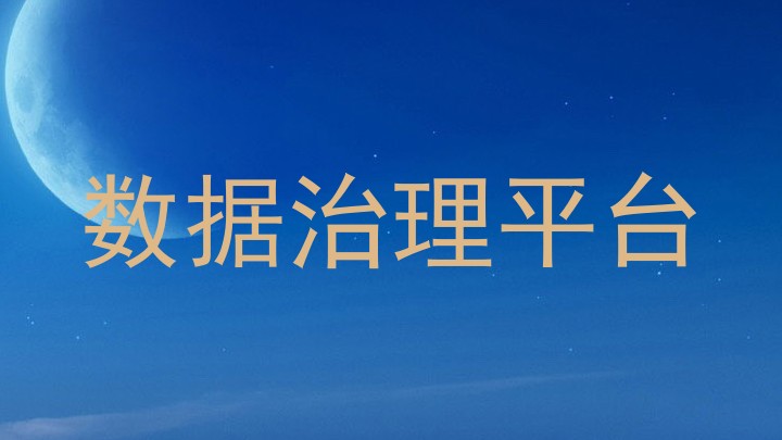 数据治理平台