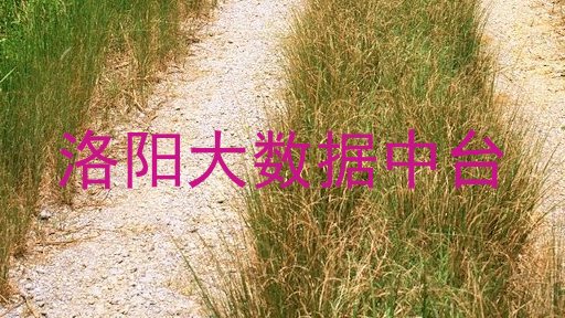 洛阳大数据中台