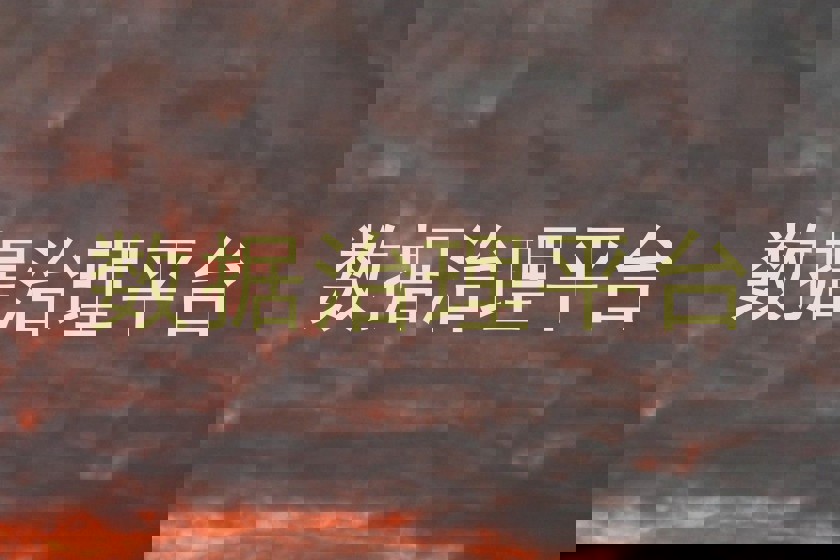 数据治理平台