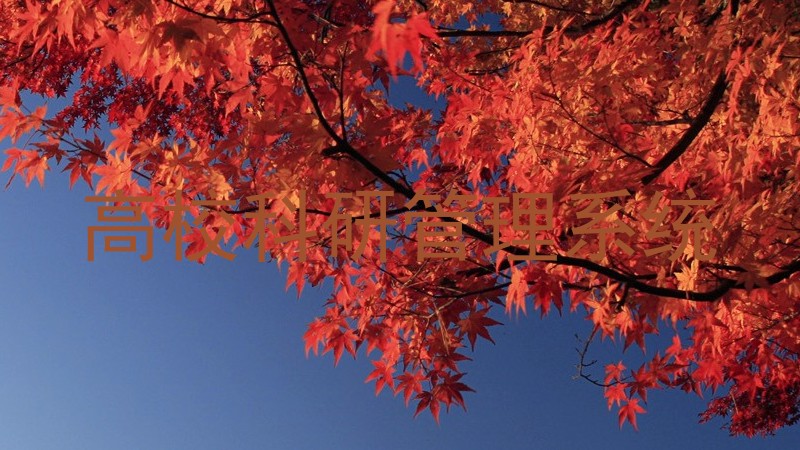 高校科研管理系统