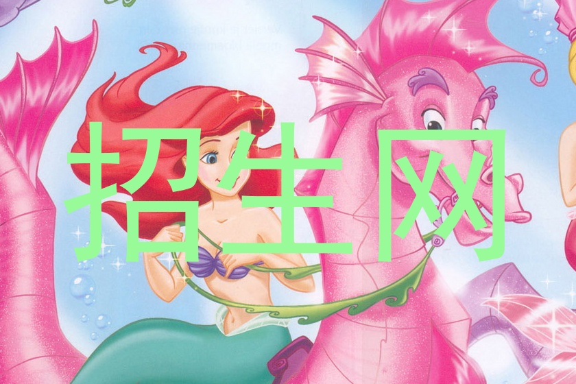 招生网