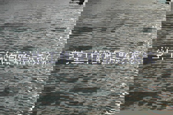 学生工作管理信息系统