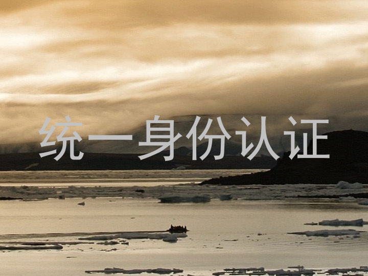 统一身份认证
