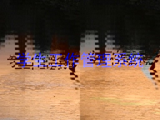 学生工作管理系统