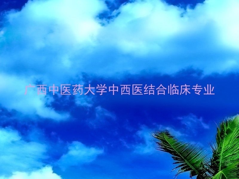 广西中医药大学中西医结合临床专业