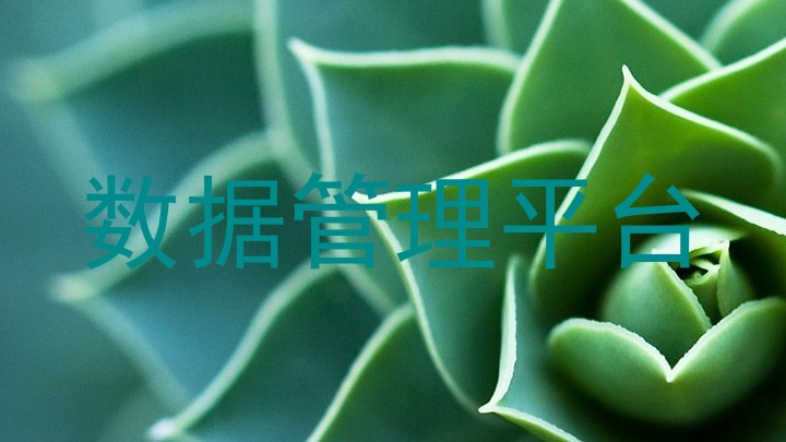 数据管理平台