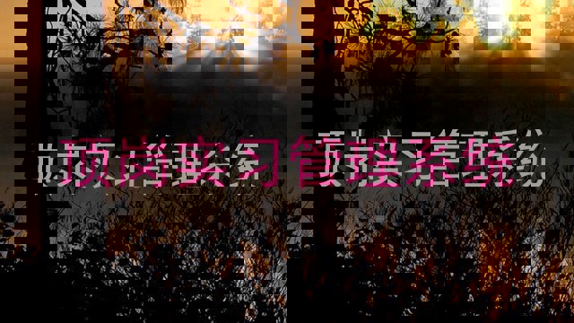 顶岗实习管理系统