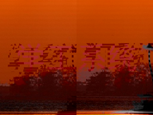 学工系统