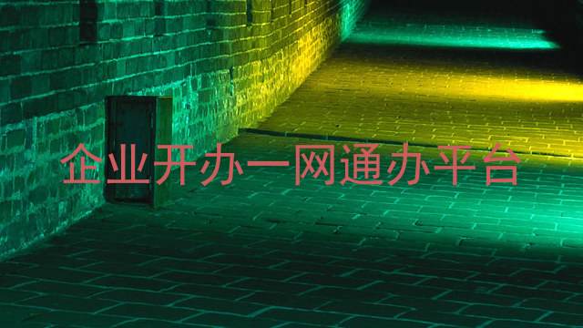 企业开办一网通办平台