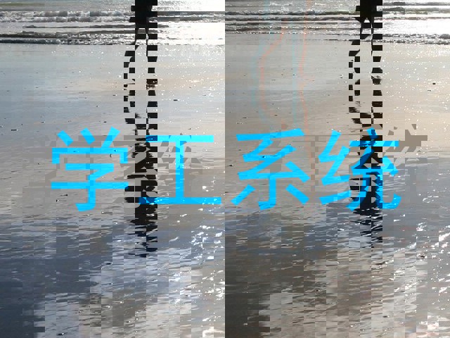 学工系统