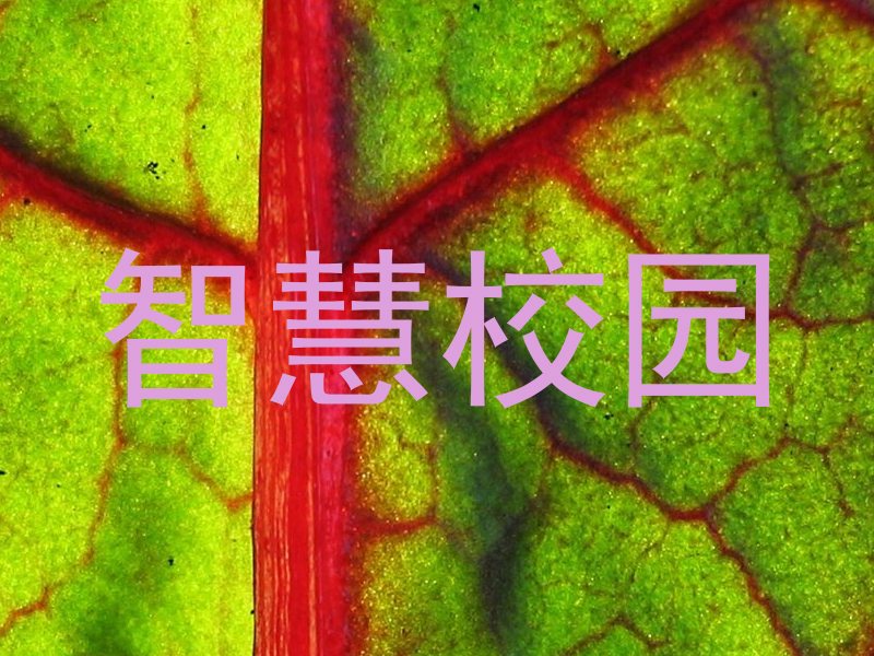智慧校園