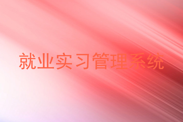 就业实习管理系统