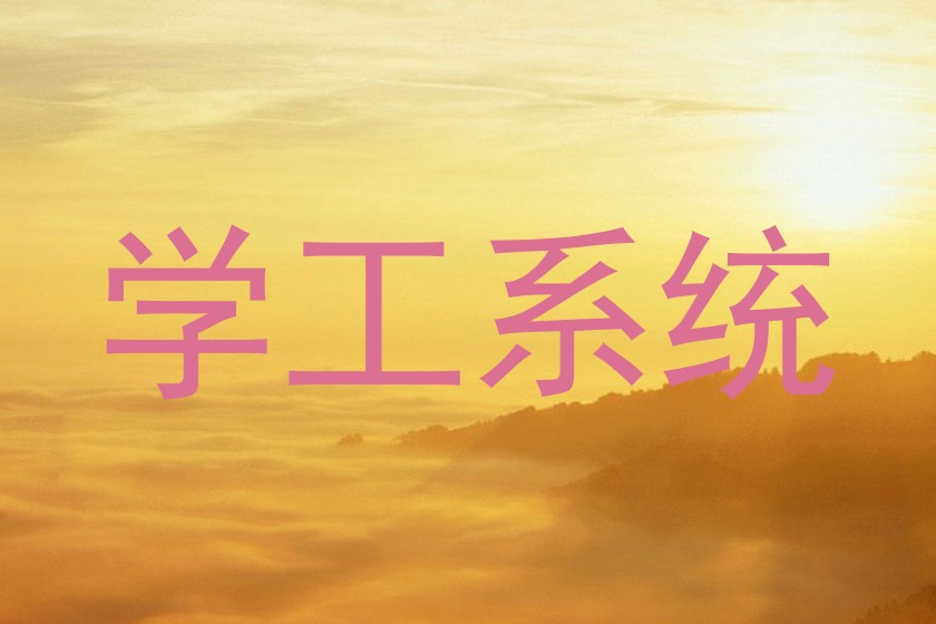 学工系统