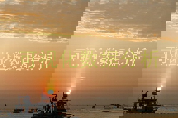 可视化数据分析