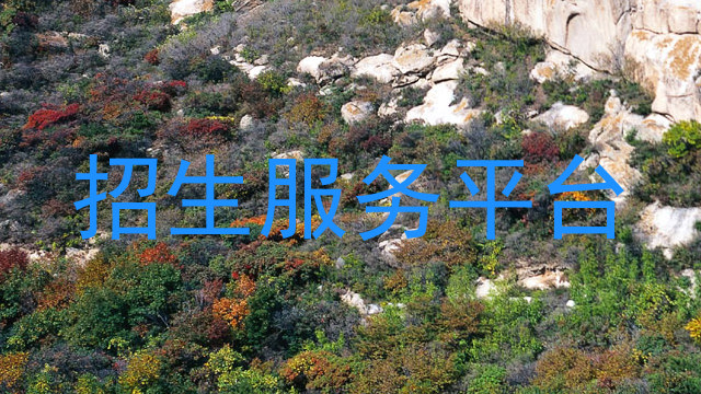 招生服务平台