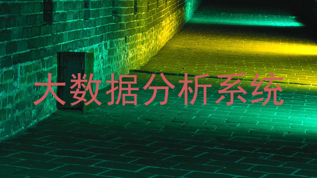 大数据分析系统