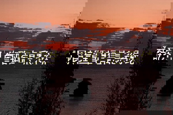 研究生管理信息系统
