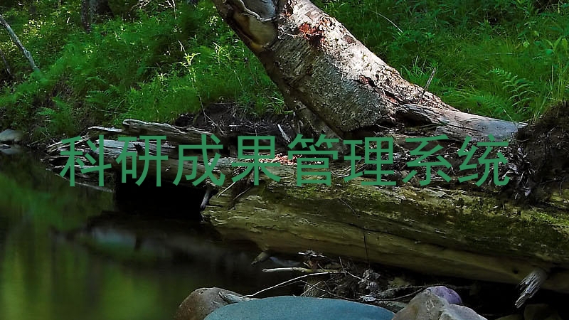 科研成果管理系统
