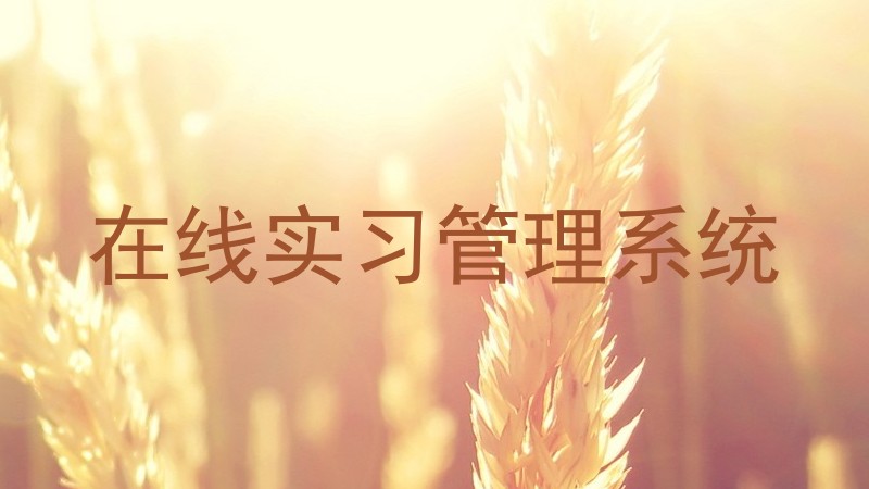 在线实习管理系统