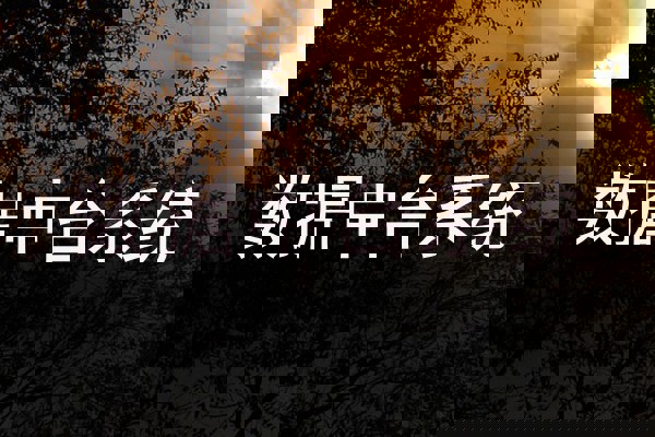 数据中台系统