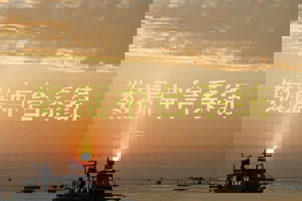 数据中台系统