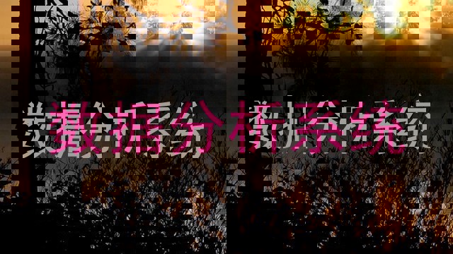 数据分析系统