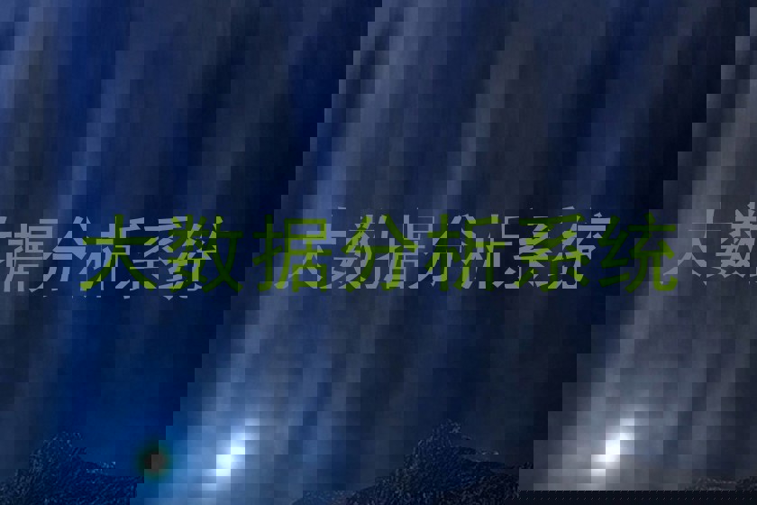 大数据分析系统