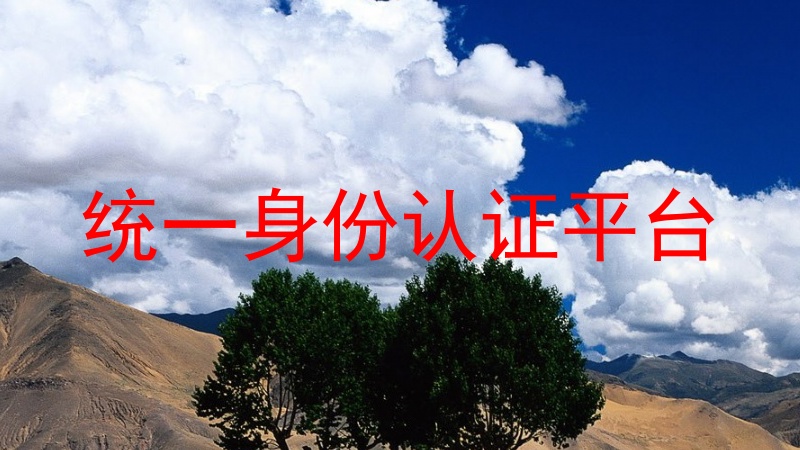 统一身份认证平台