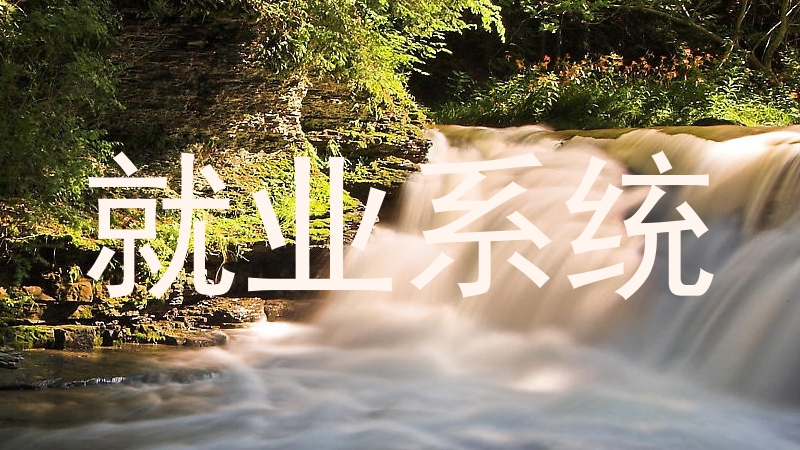 就业系统