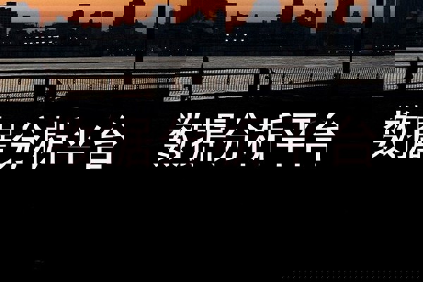 数据分析平台