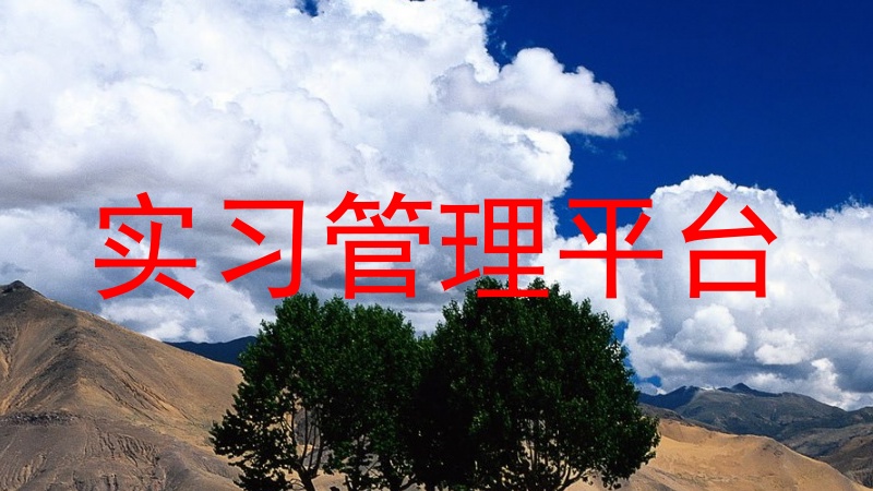 实习管理平台