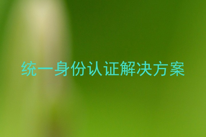 统一身份认证解决方案