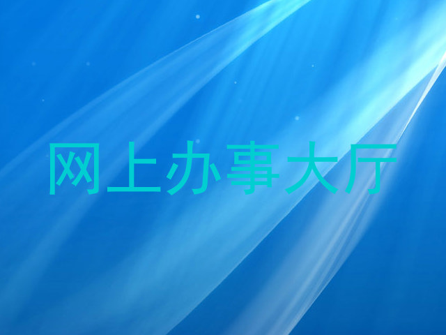 网上办事大厅