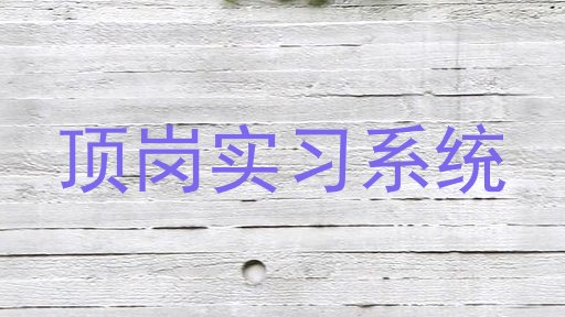 顶岗实习系统