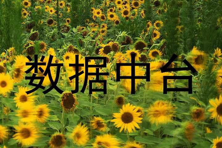 数据中台
