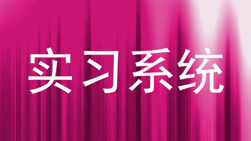 实习系统