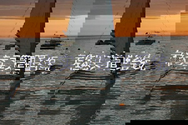 在线实习管理系统