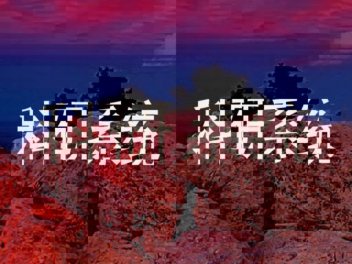 科研系统