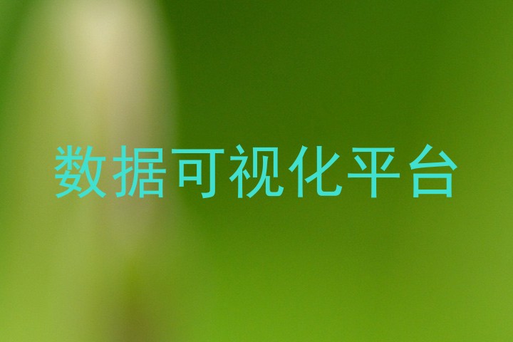 数据可视化平台