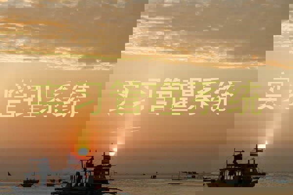 实习管理系统