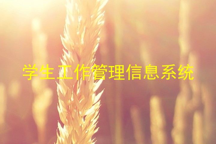 学生工作管理信息系统