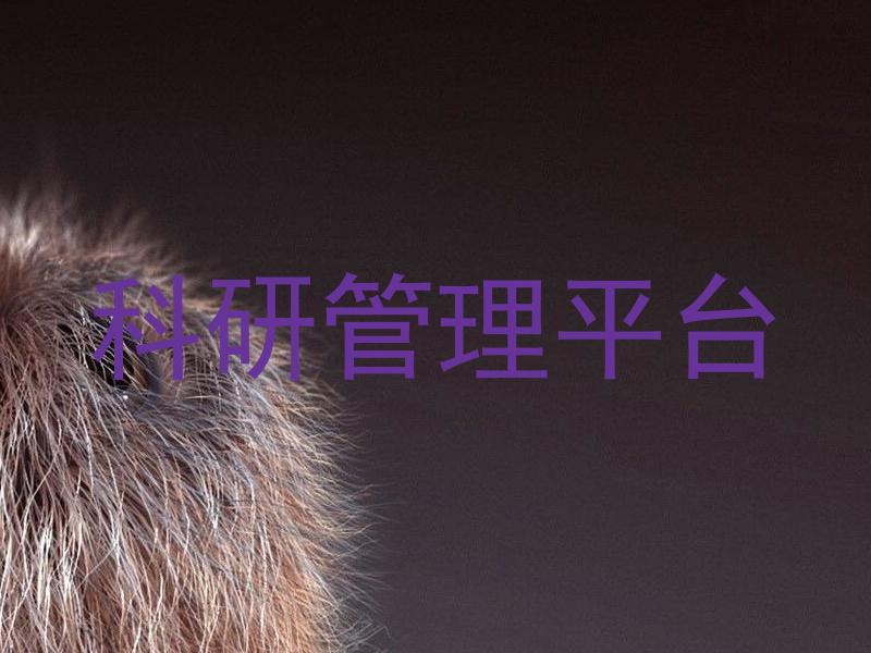 科研管理平台