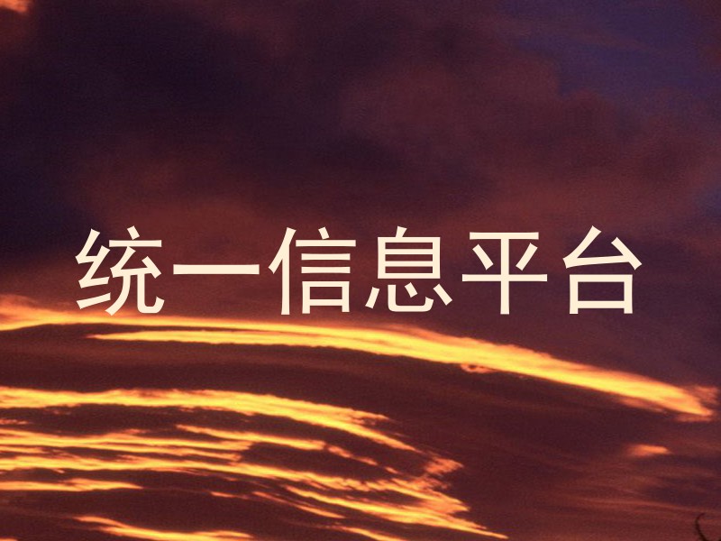 统一信息平台