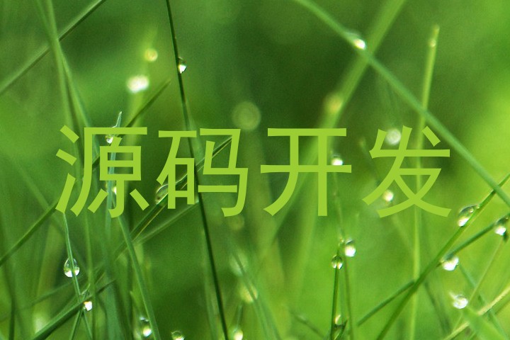 源码开发