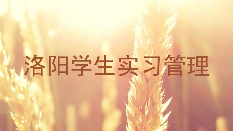 洛阳学生实习管理